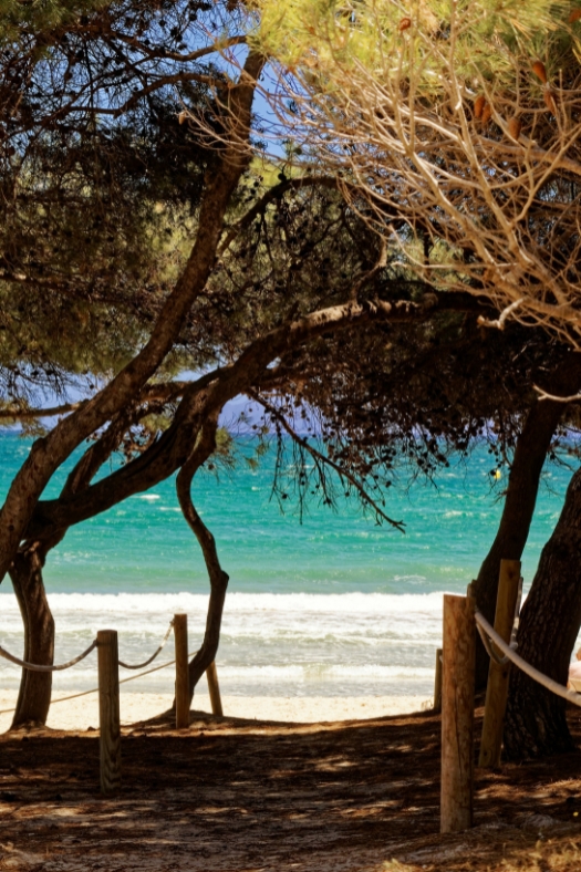 Strand