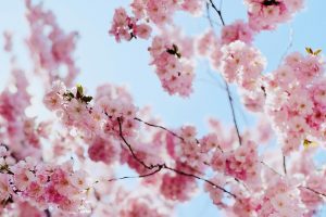 Zenara Blog