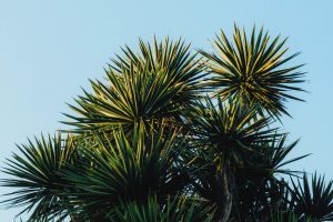 Mallorca